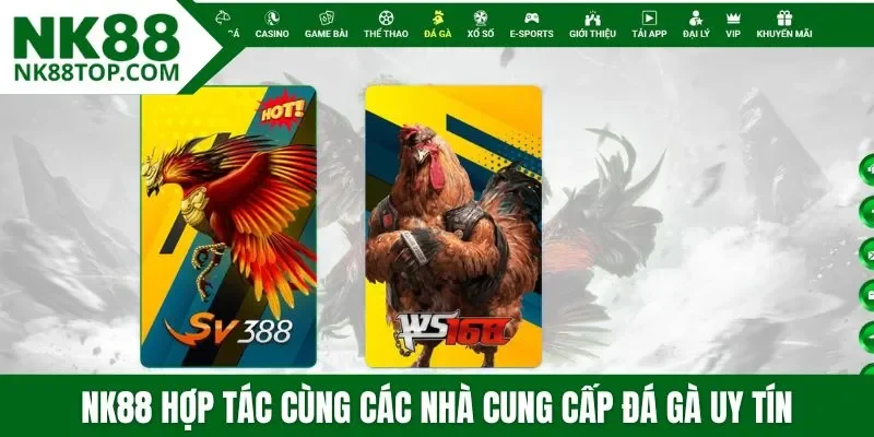 NK88 hợp tác cùng các nhà cung cấp đá gà uy tín